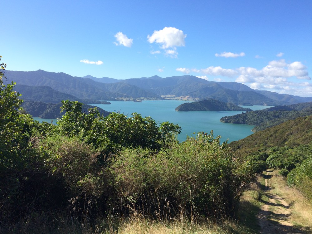 Marlborough sound - gateway to marlborough wine region