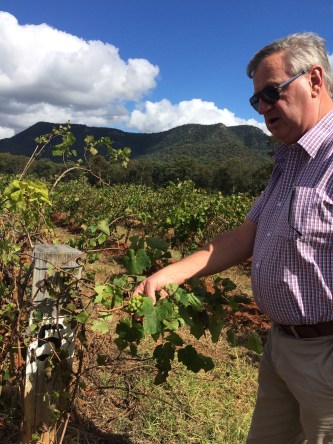 Richard Everett Wine Country Tours