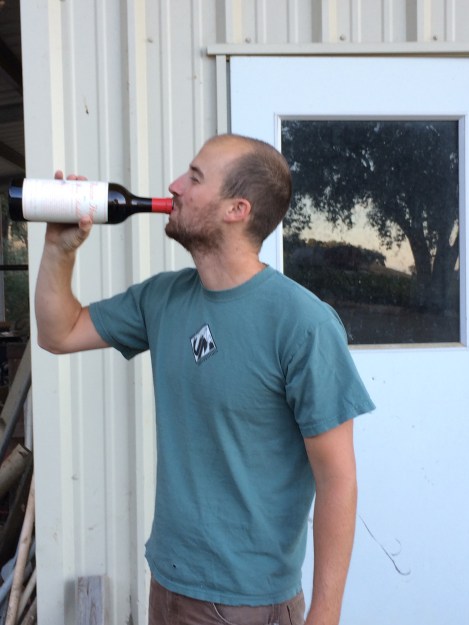 Paul competitive check