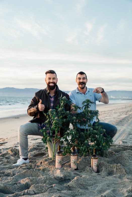alex_chip_beach_plant_wine-1