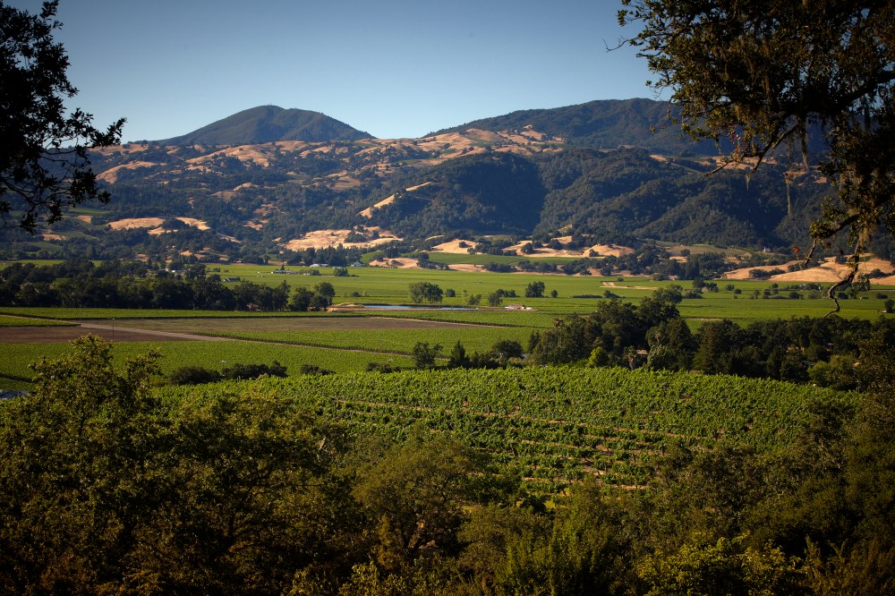 RS ava-alexander-valley-01-300dpi