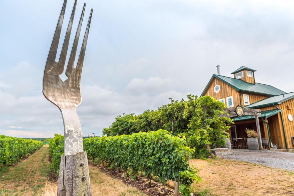 Big Fork vineyards