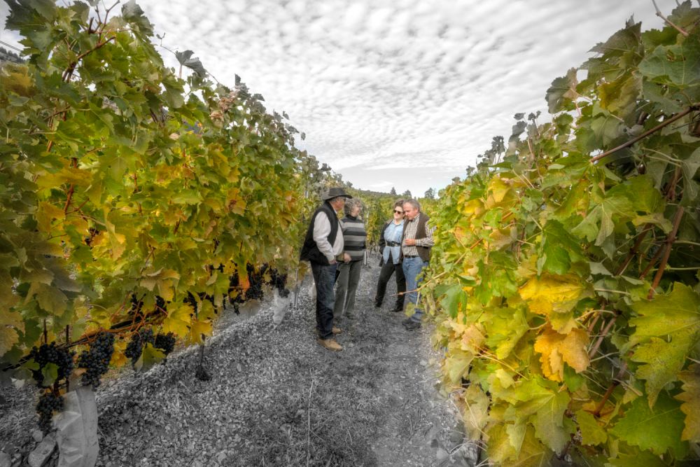 British Columbia Magazine