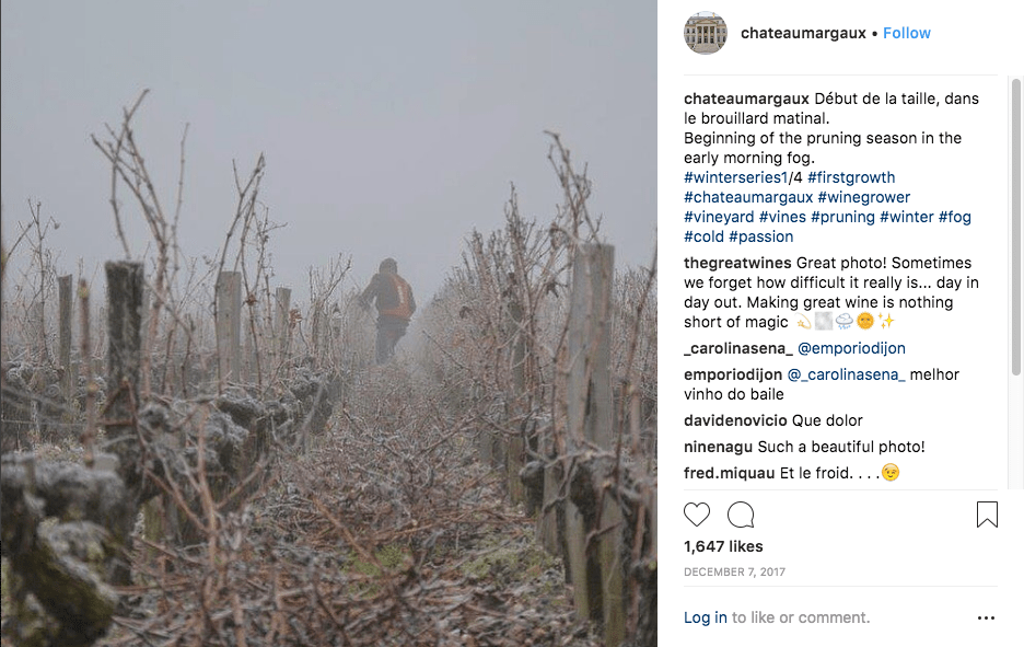 making great wine is nothing short of magic