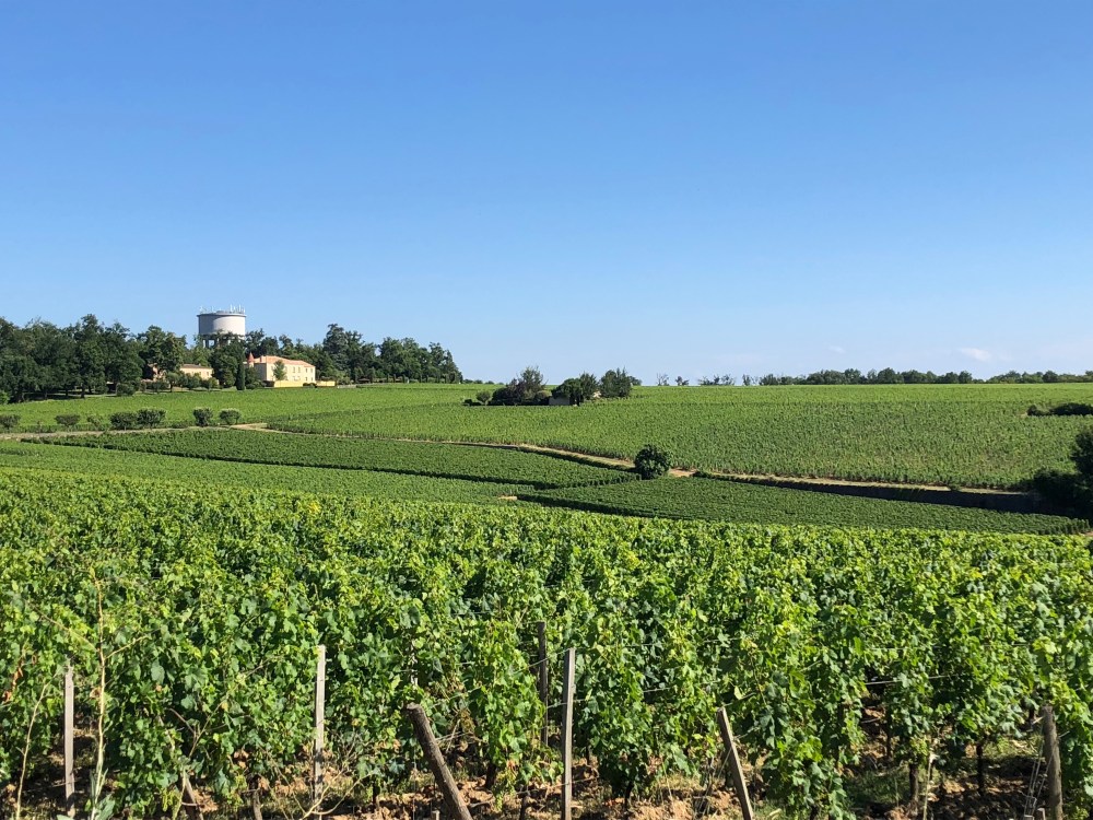 rightbankfruit - amustreadblog