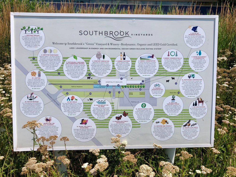 Green 3 Southbrook Vineyards amustreadblog