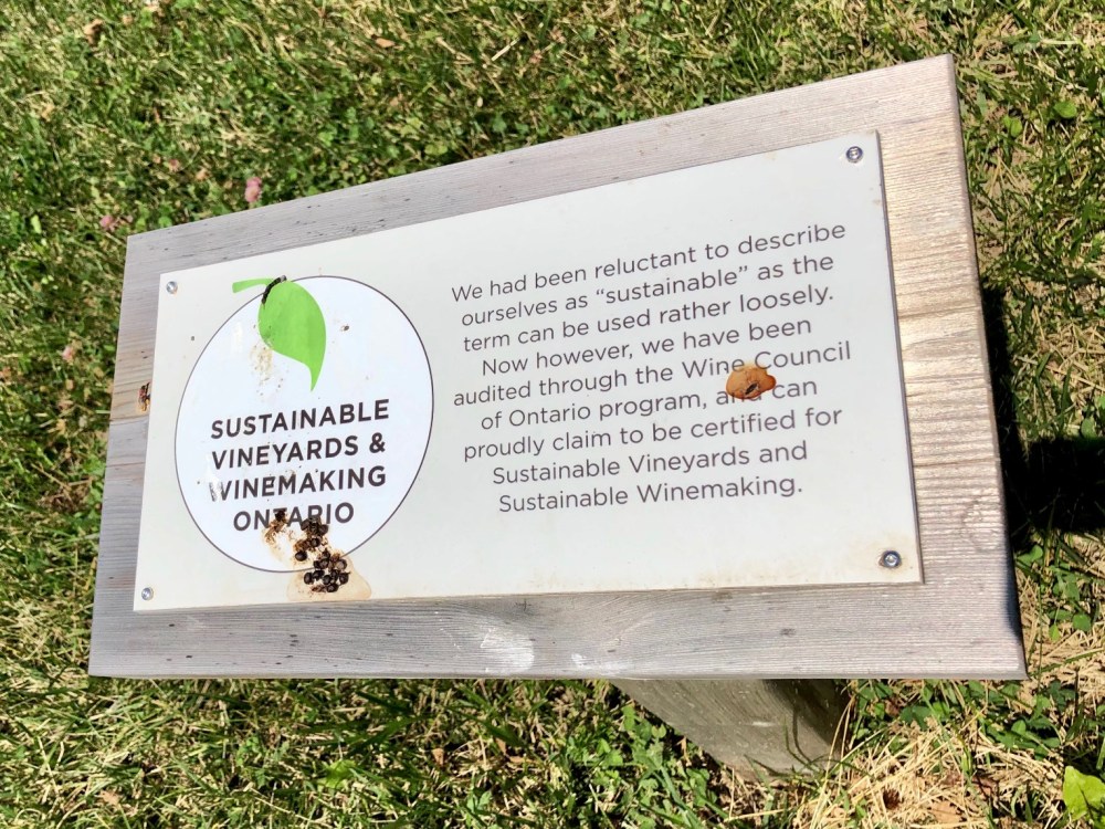 Sustainable Certification Southbrook Vineyards amustreadblog