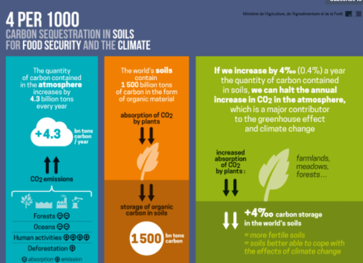 Carbon Sequestration