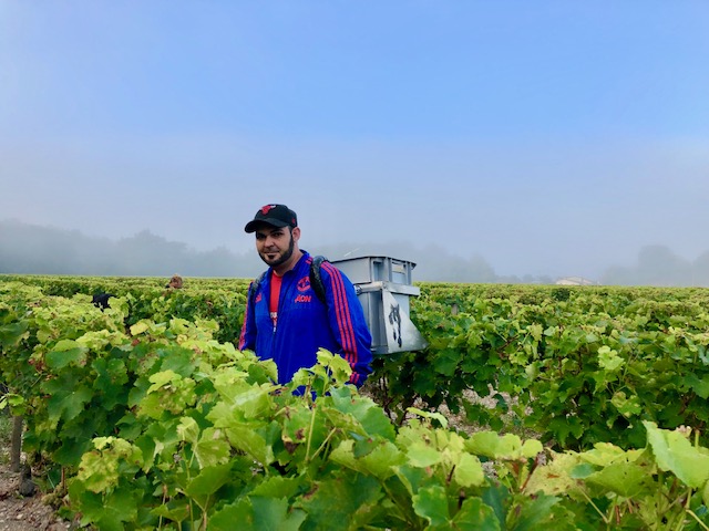 Domaine de la Solitude morning fog amustreadblog