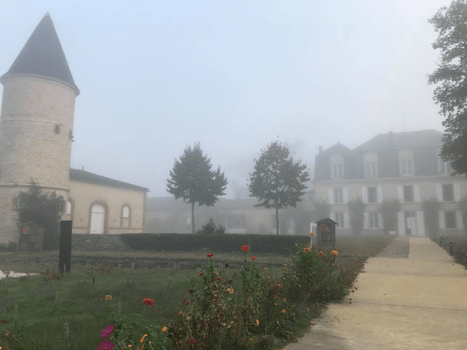 Mist Guiraud - ideal wine
