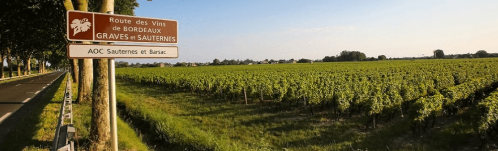 Sauternes Tourisme sud Gironde