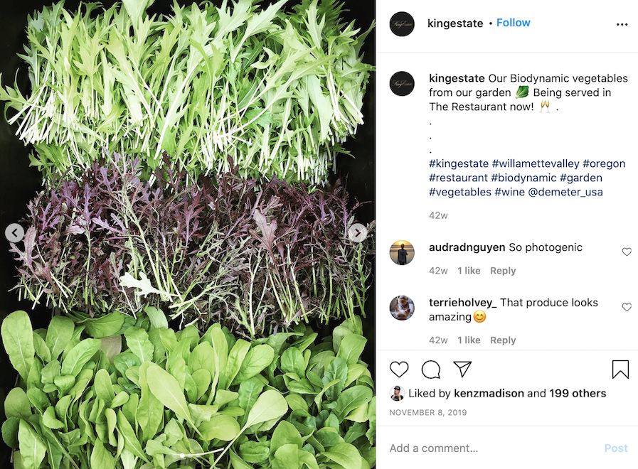 Instagram picture of biodynamic vegetable greens