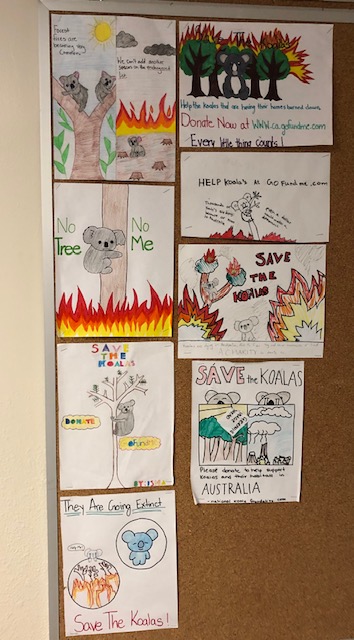 children's pictures of australian fires and koalas at risk 
