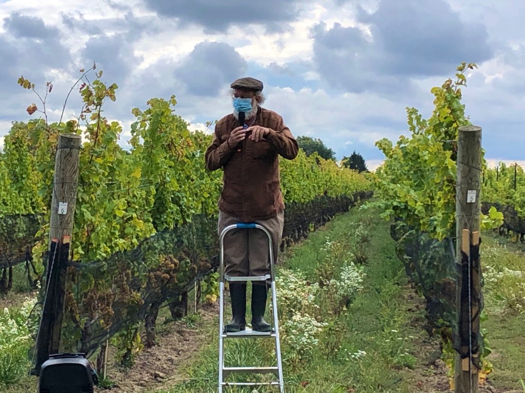 gentleman standing on a short ladder in a vineyard speaking to guests