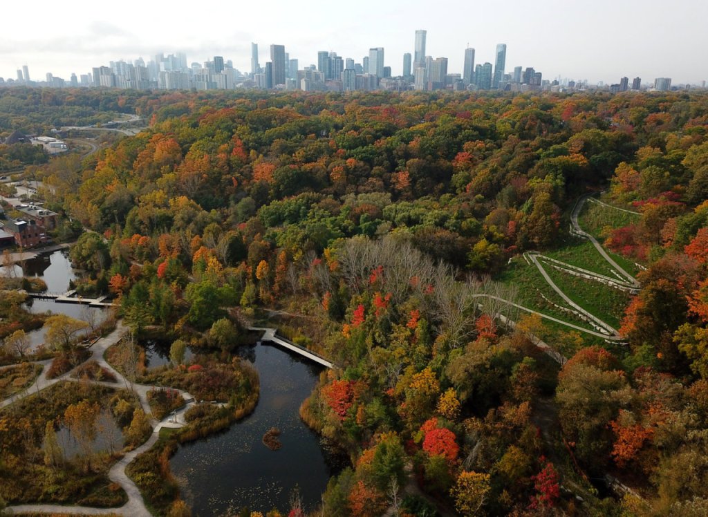 The beautiful Evergreen Brick Works forest with ponds and trails zig zagging in the distance