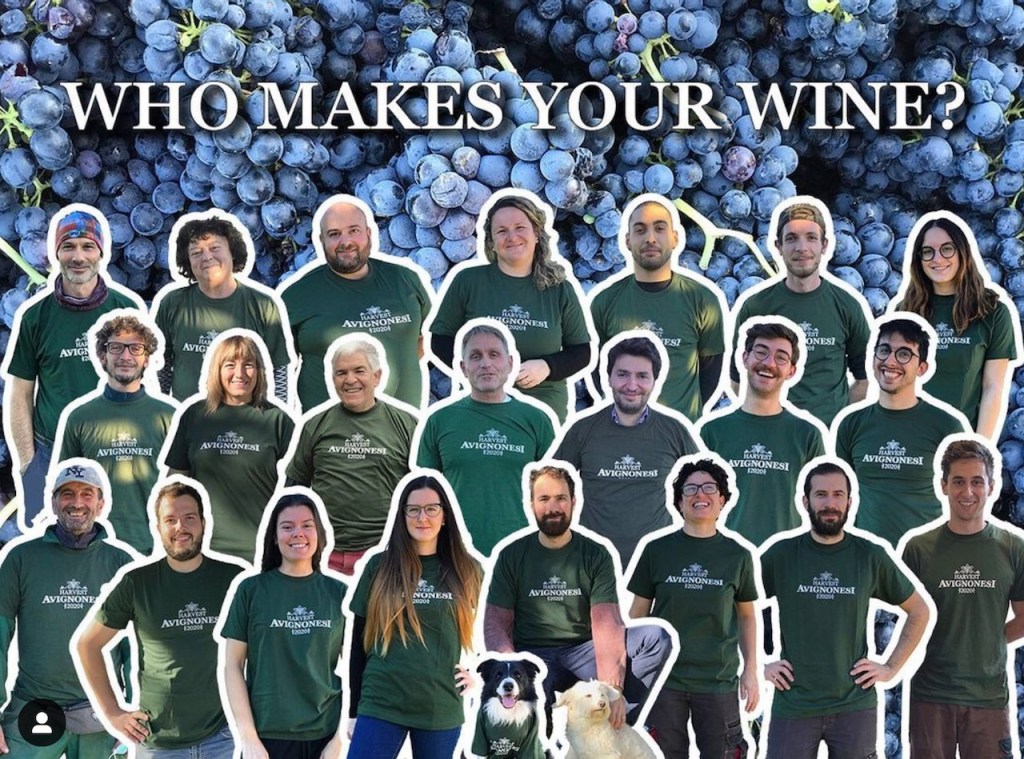 photo of harvest team that works at winery all wearing same green tshirts