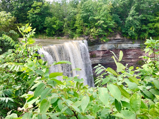 waterfall over rocks that are layered with sediment and fossils