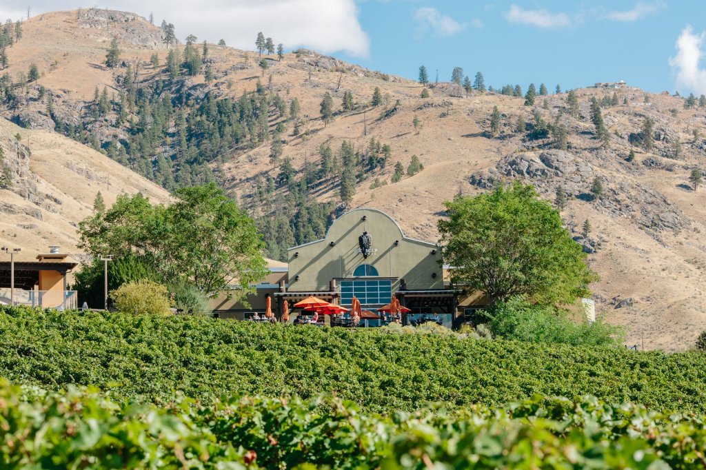 view of nk'Mip winery with vineayrds in front and hills behind